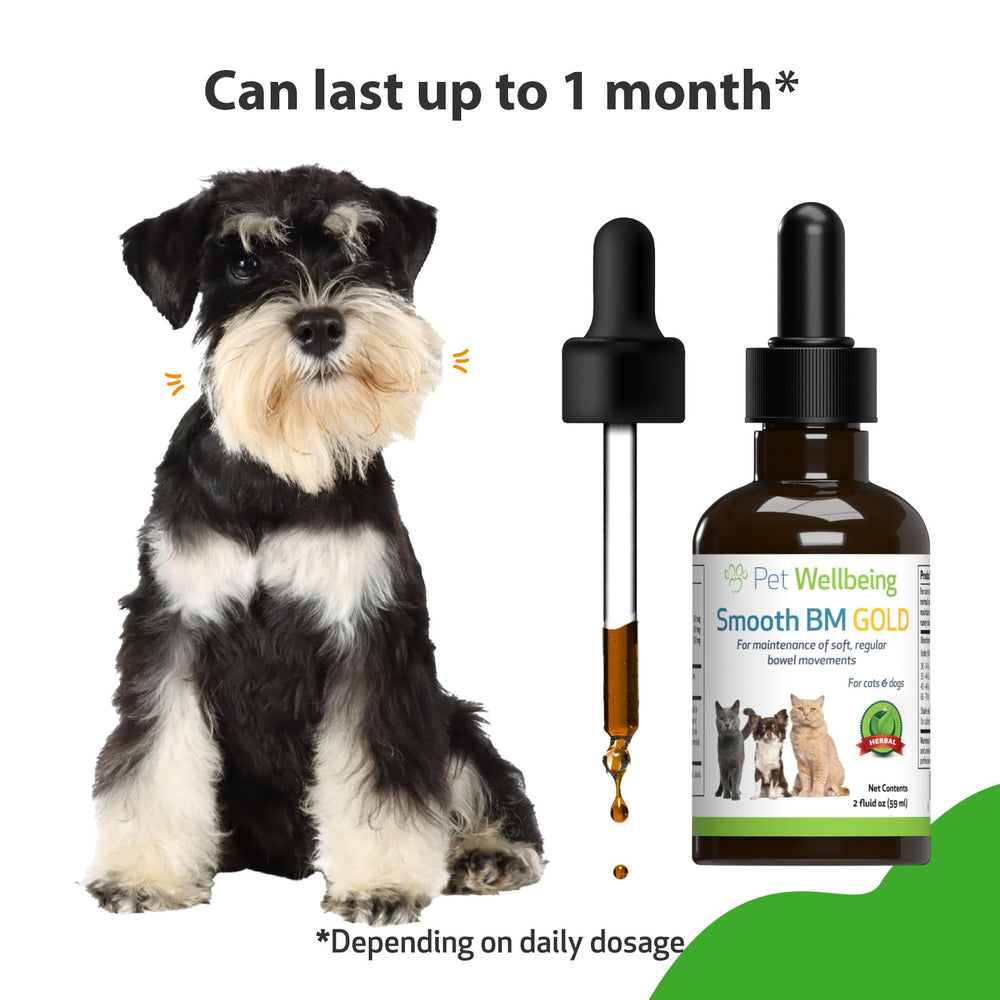 Pet Wellbeing Smooth BM Gold, uso-diario suave para regularidad natural.