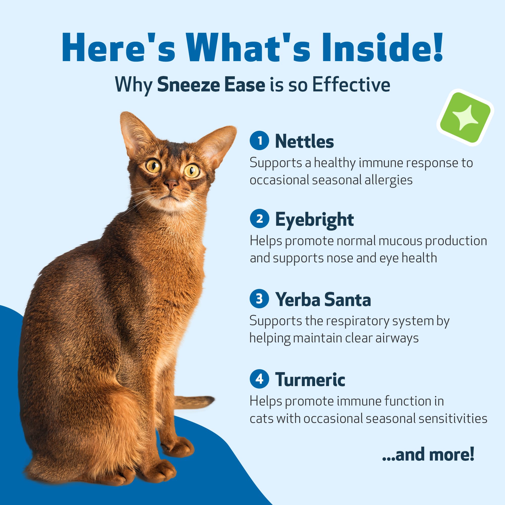 Pet Wellbeing Sneeze Ease, gato tranquilo y cómodo tras usar el suplemento.