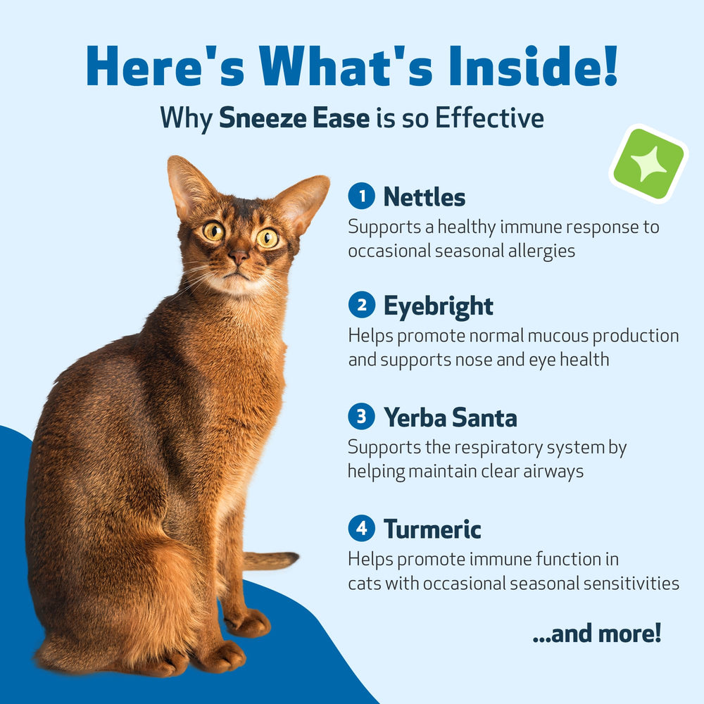 Pet Wellbeing Sneeze Ease, gato tranquilo y cómodo tras usar el suplemento.