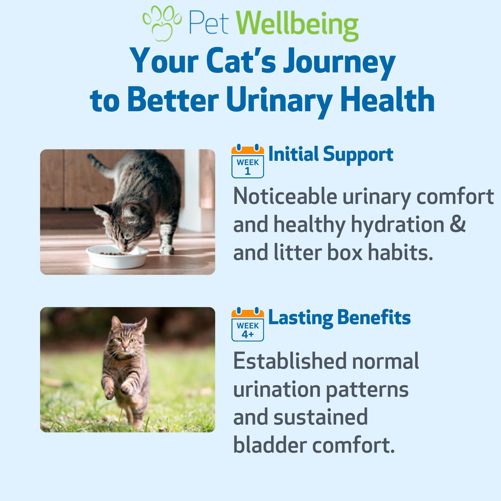Pet Wellbeing Urinary Gold: ingredientes naturales para el tracto urinario.