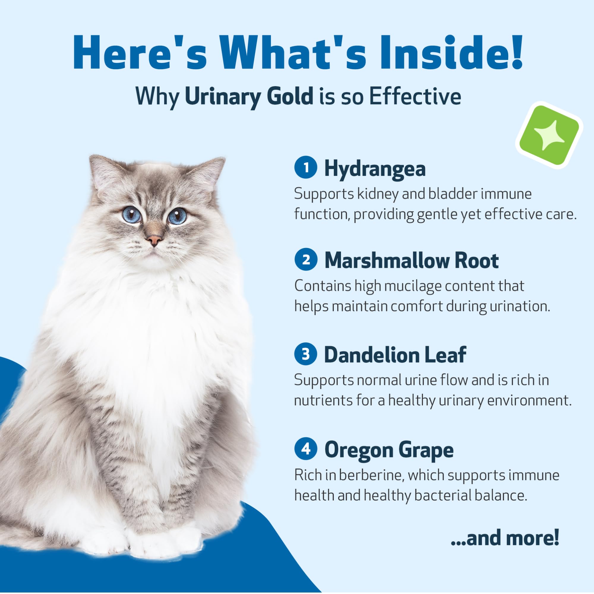 Pet Wellbeing Urinary Gold: textura líquida de fácil administración.