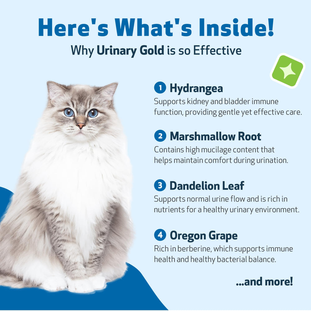 Pet Wellbeing Urinary Gold: textura líquida de fácil administración.