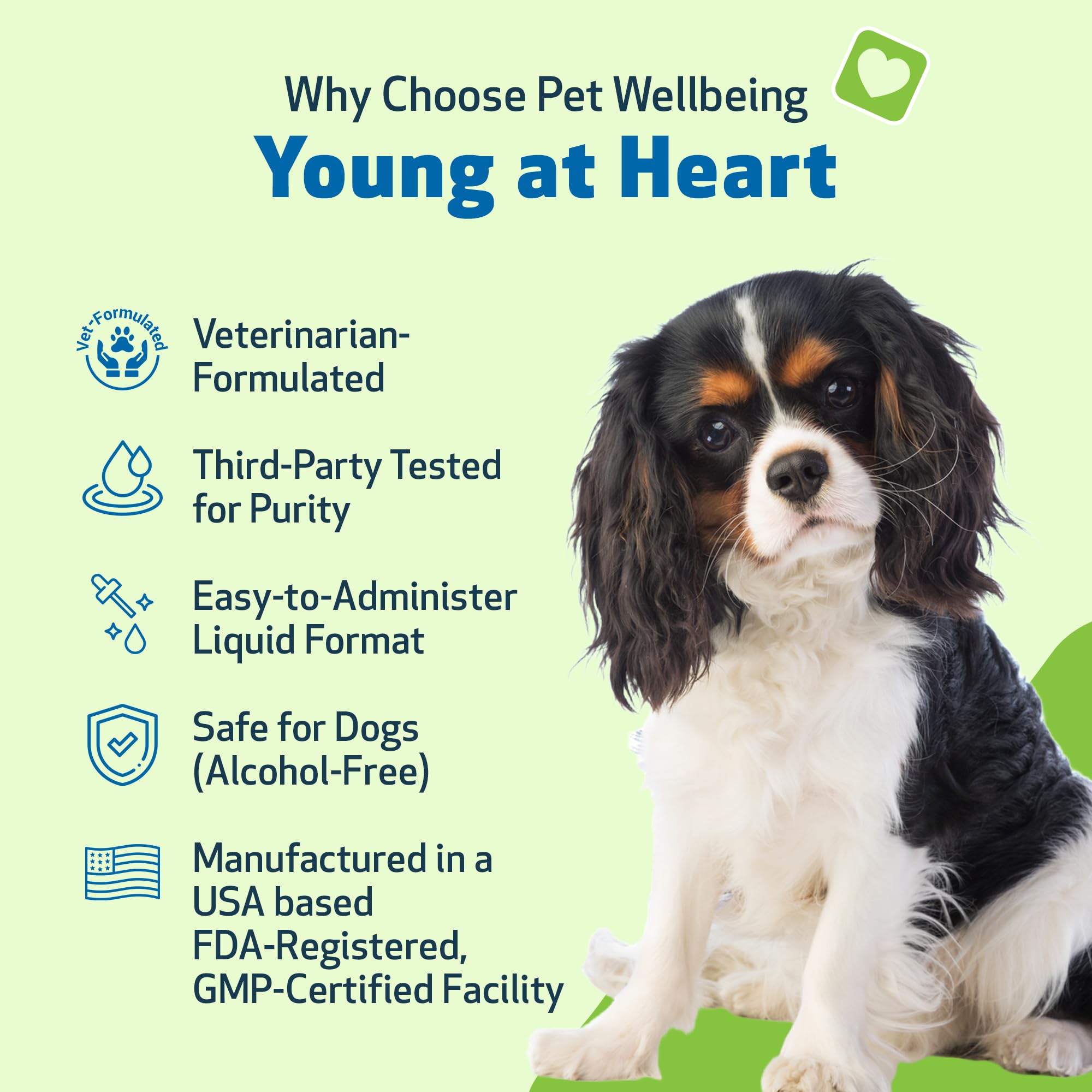 Pet Wellbeing Young at Heart, etiqueta clara para identificar la fórmula amable para dueños ocupados.