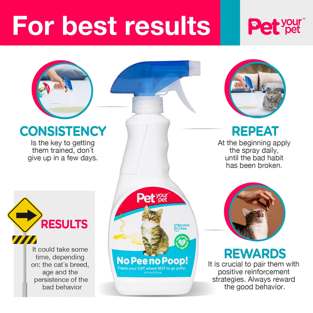 PET YOUR PET botella-16oz-entrenamiento, práctica para sesiones diarias.