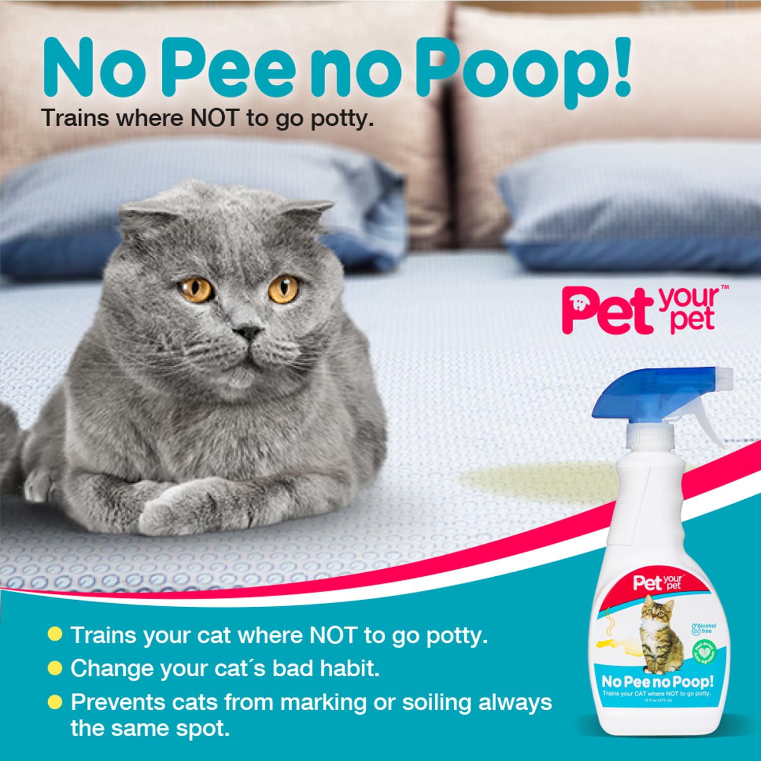 PET YOUR PET entrenamiento suave gatitos, guía amable para hábitos limpios.
