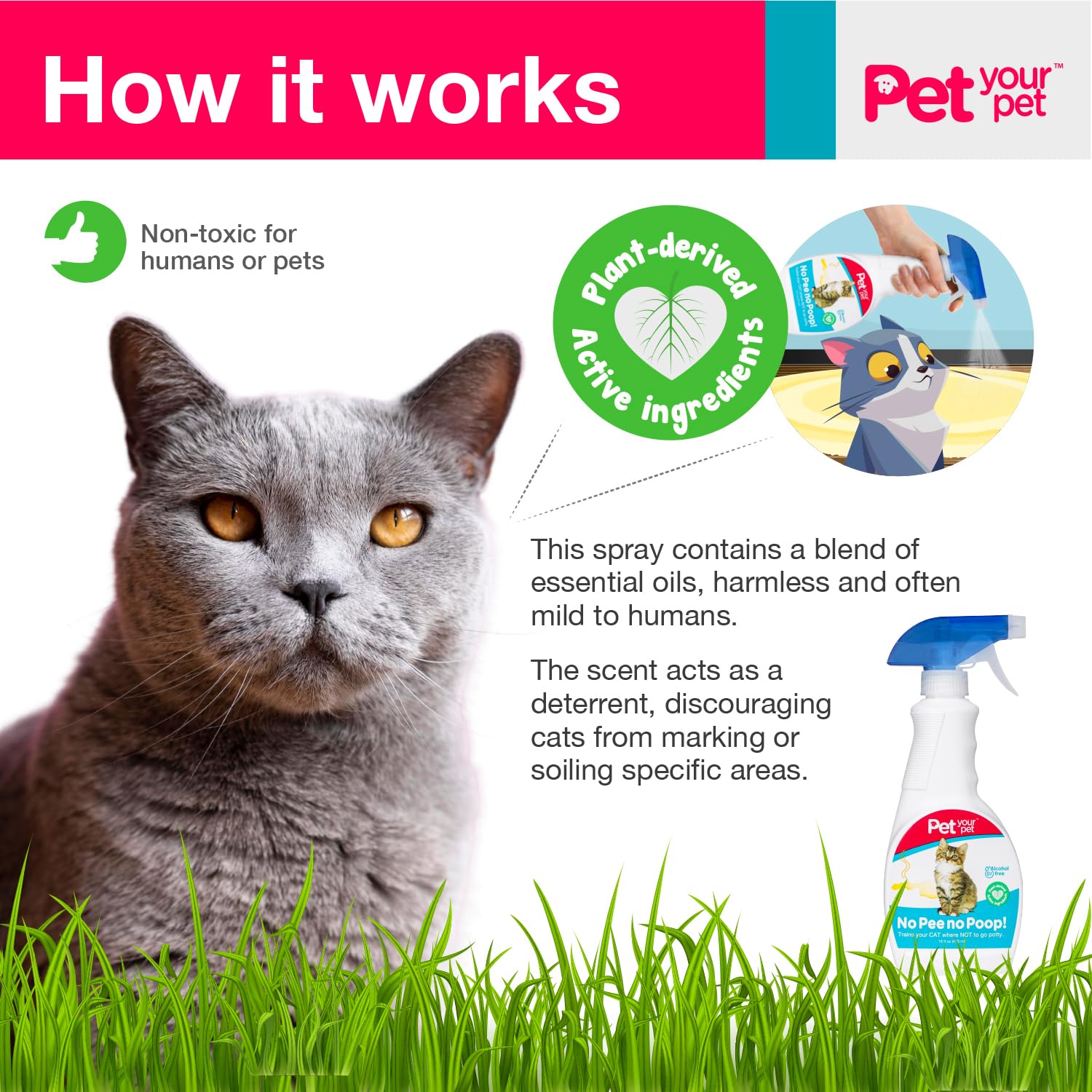 PET YOUR PET uso interior-exterior, enfoque en versatilidad para diferentes ambientes.