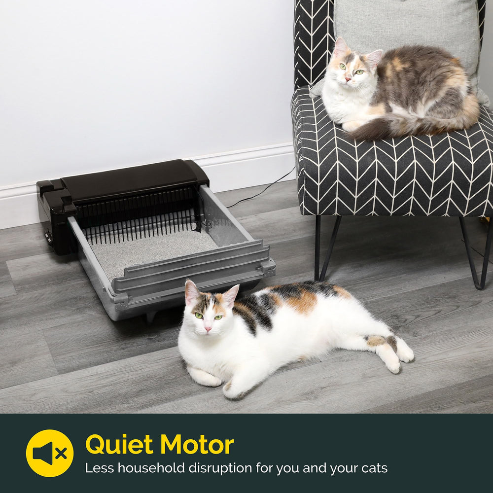 Pet Zone dimensiones adecuadas para gatos de 6 a 16 libras