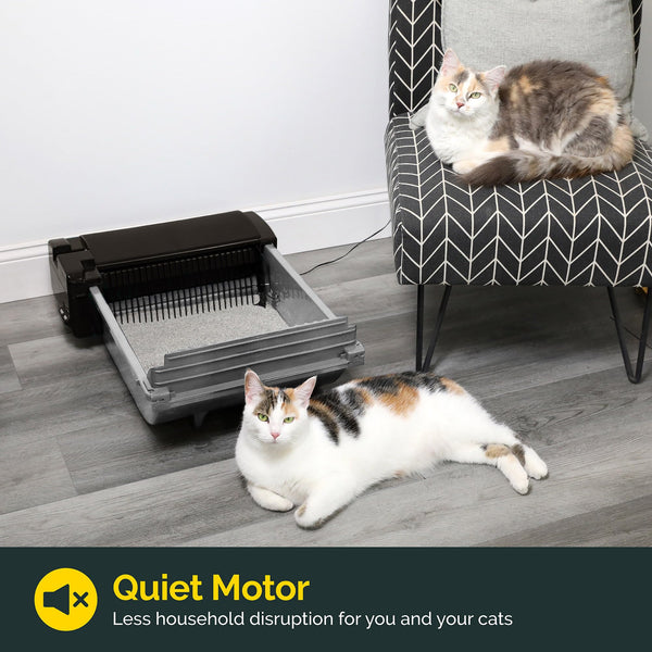 Pet Zone dimensiones adecuadas para gatos de 6 a 16 libras