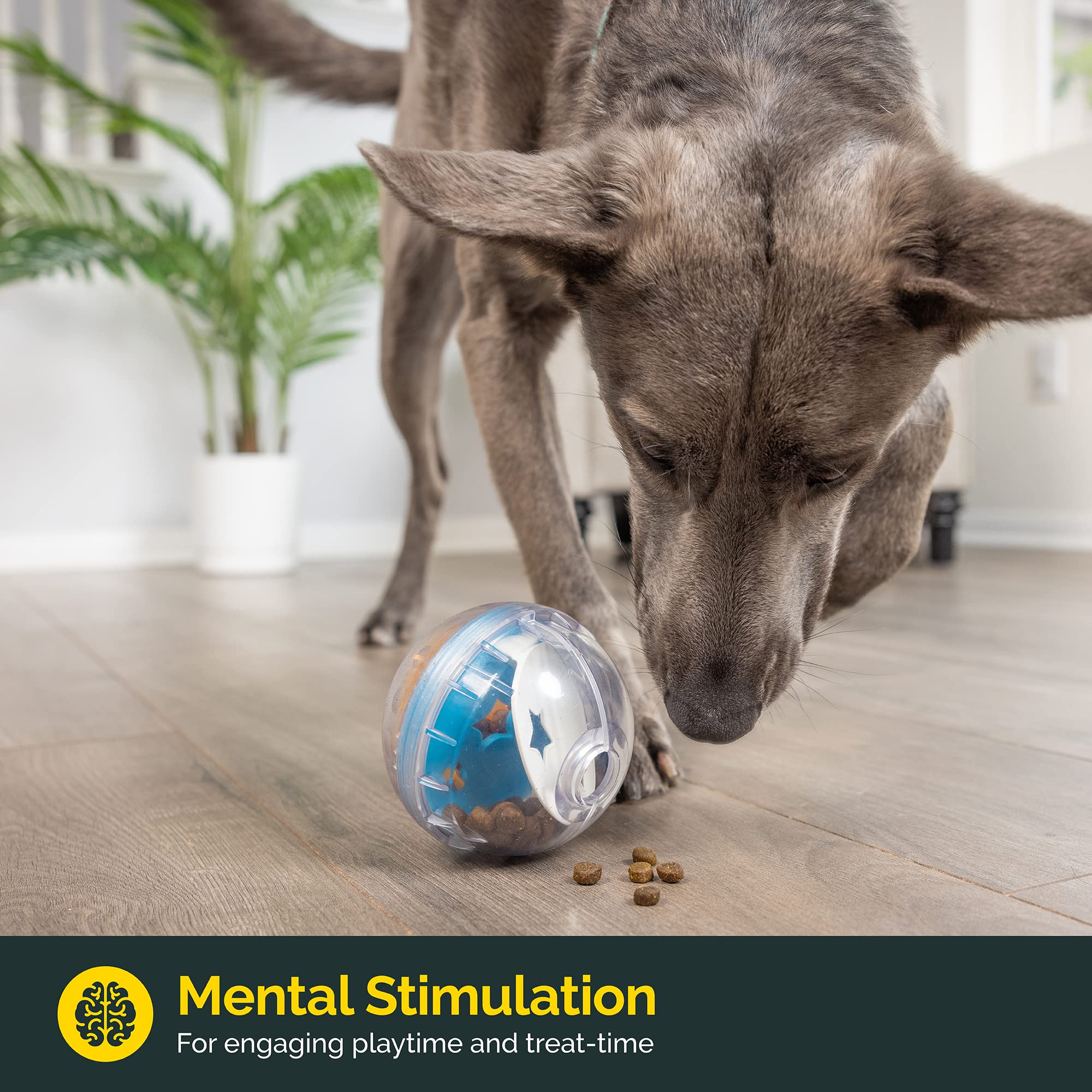 Pet Zone IQ Ball con disco interior ajustable para nivel de dificultad.