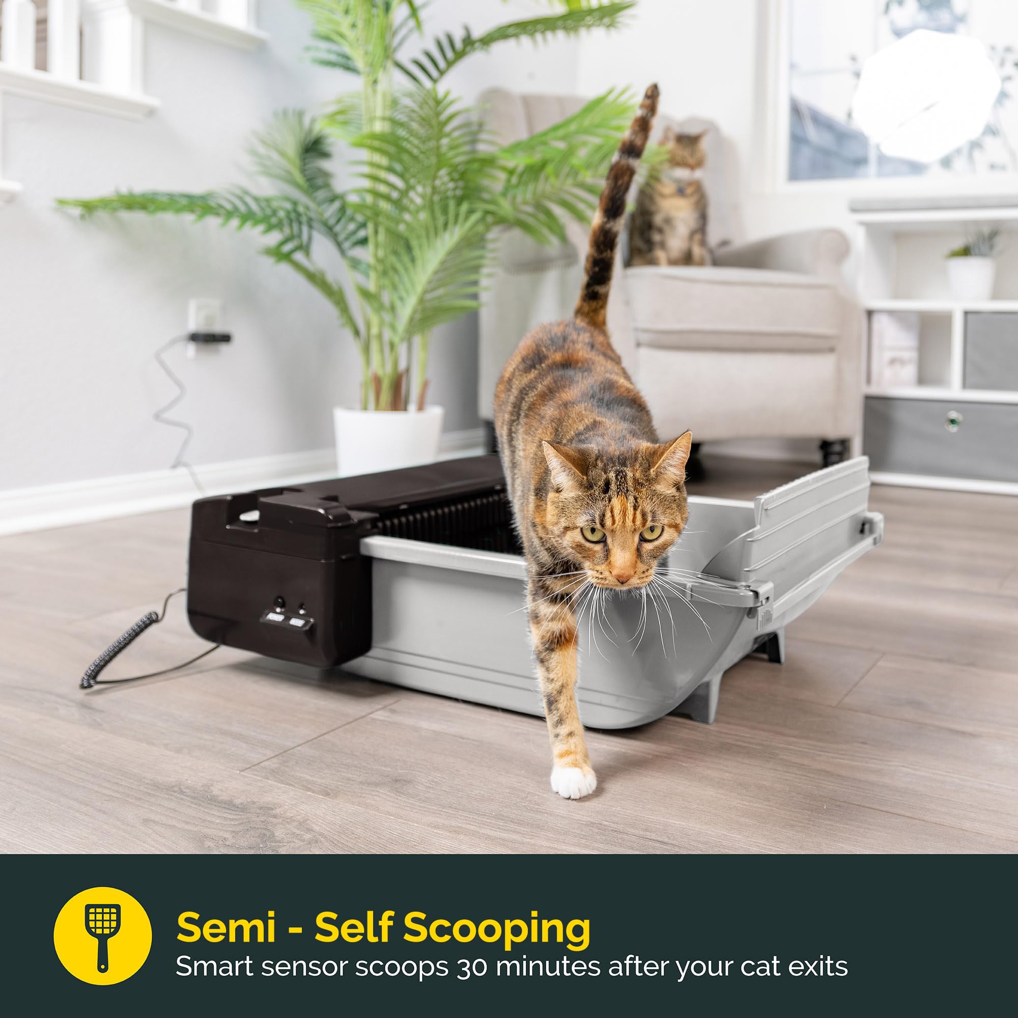 Pet Zone sensor de activación inicia limpieza tras uso del gato