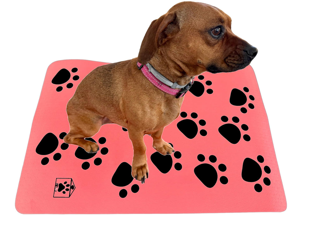 PET202 alfombra para mesa de peluquería canina rosa suave y estable para sesiones de cuidado