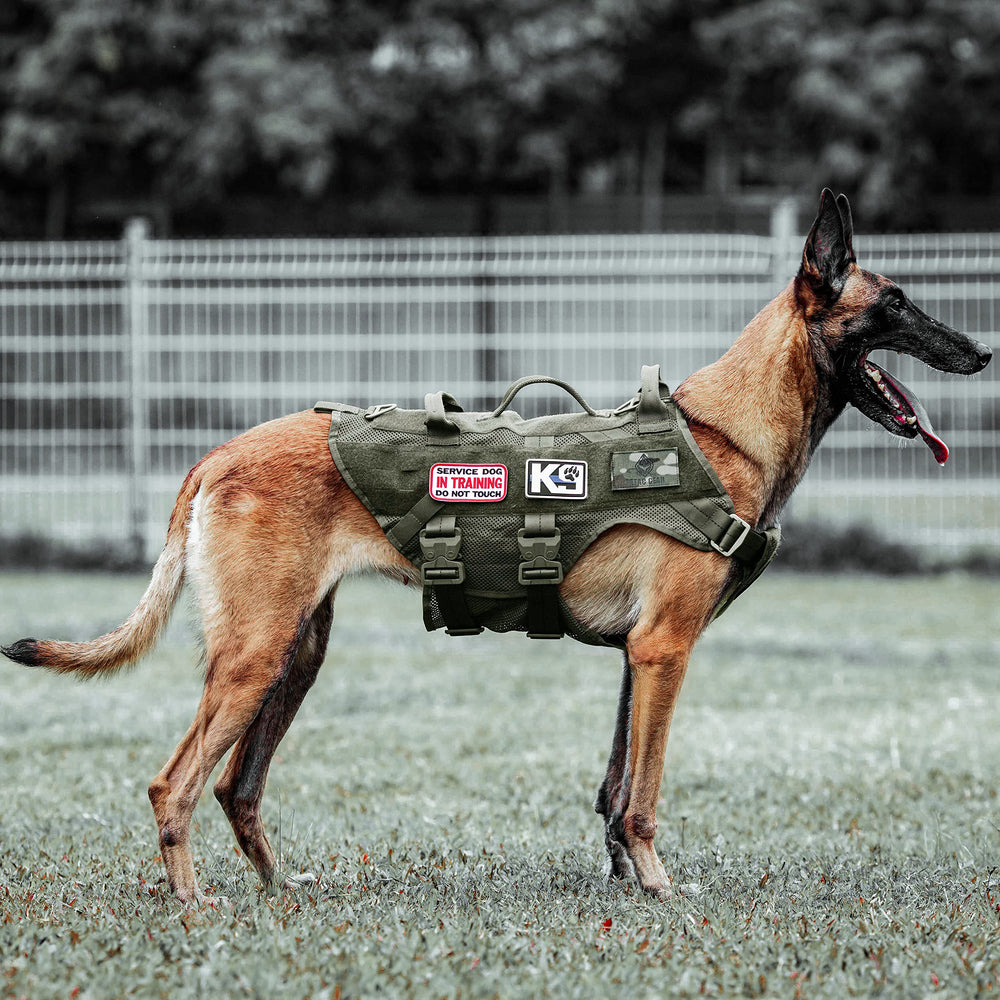 PETAC GEAR arnés táctico sin tirones para perros grandes con asa robusta