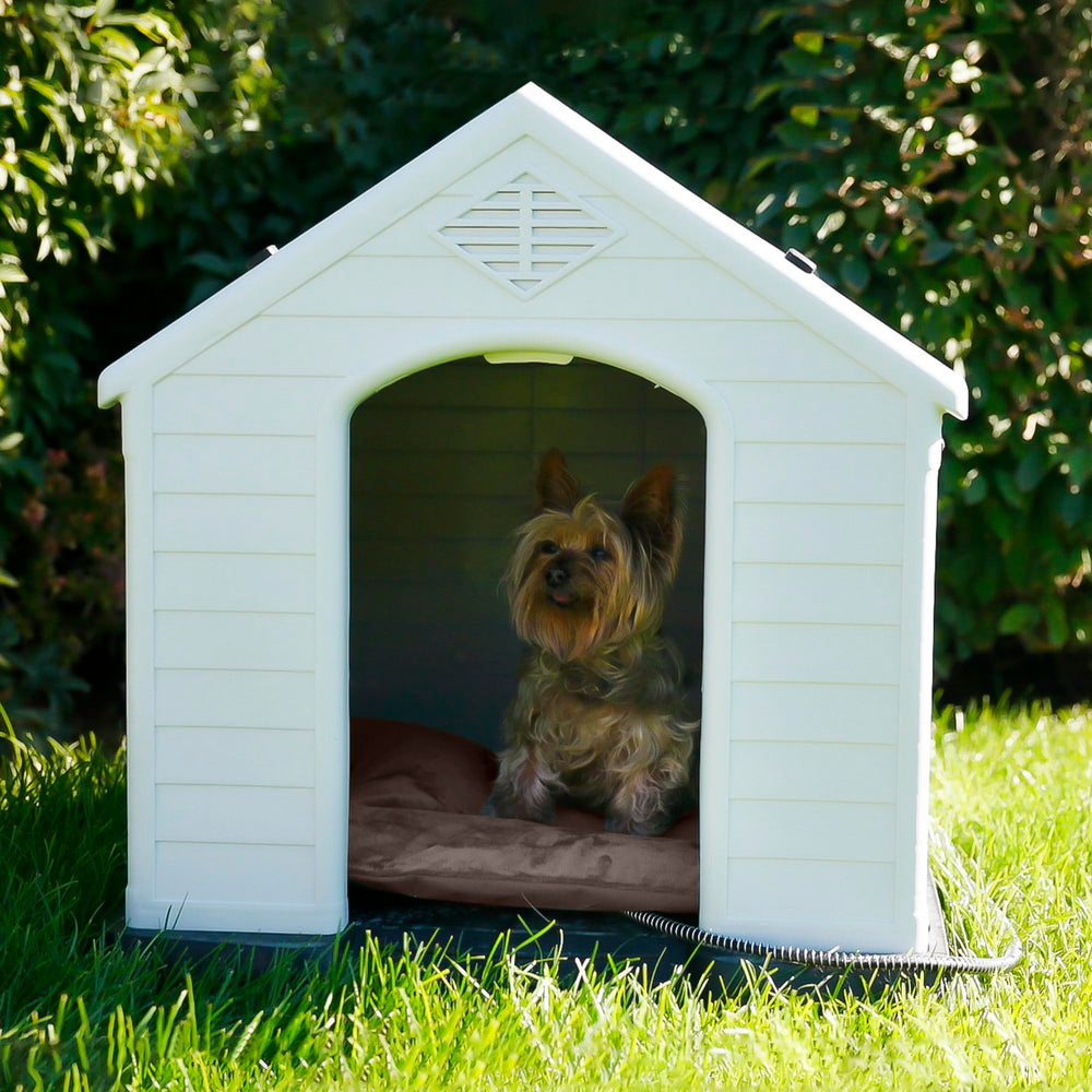 Petace almohadilla calefactable 40W, ideal para gatos ferales y perros.
