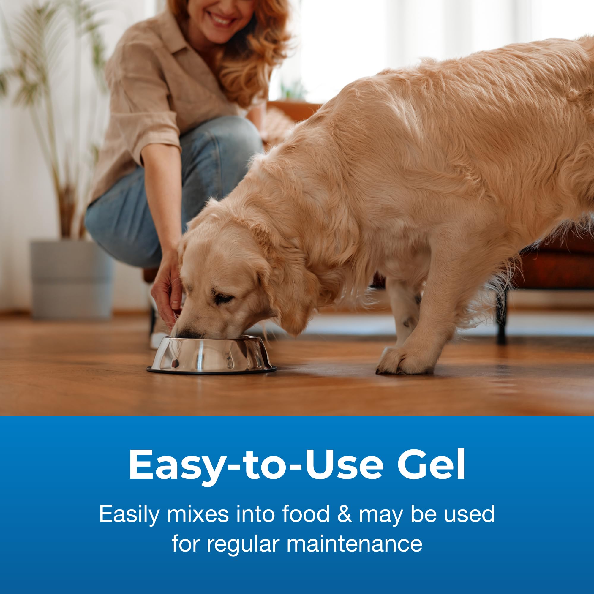 PetAg Bene-Bac Plus Gel: uso en perros y gatos para manejo digestivo