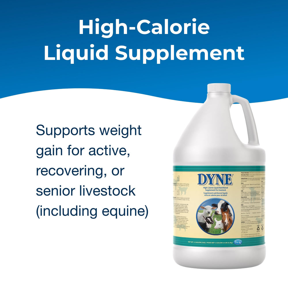 PetAg Dyne etiqueta nutricional, muestra ingredientes y vitaminas añadidas para apoyo equilibrado.