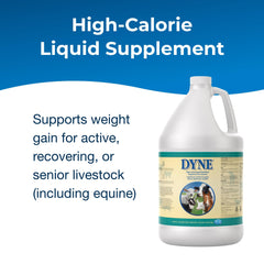 PetAg Dyne etiqueta nutricional, muestra ingredientes y vitaminas añadidas para apoyo equilibrado.