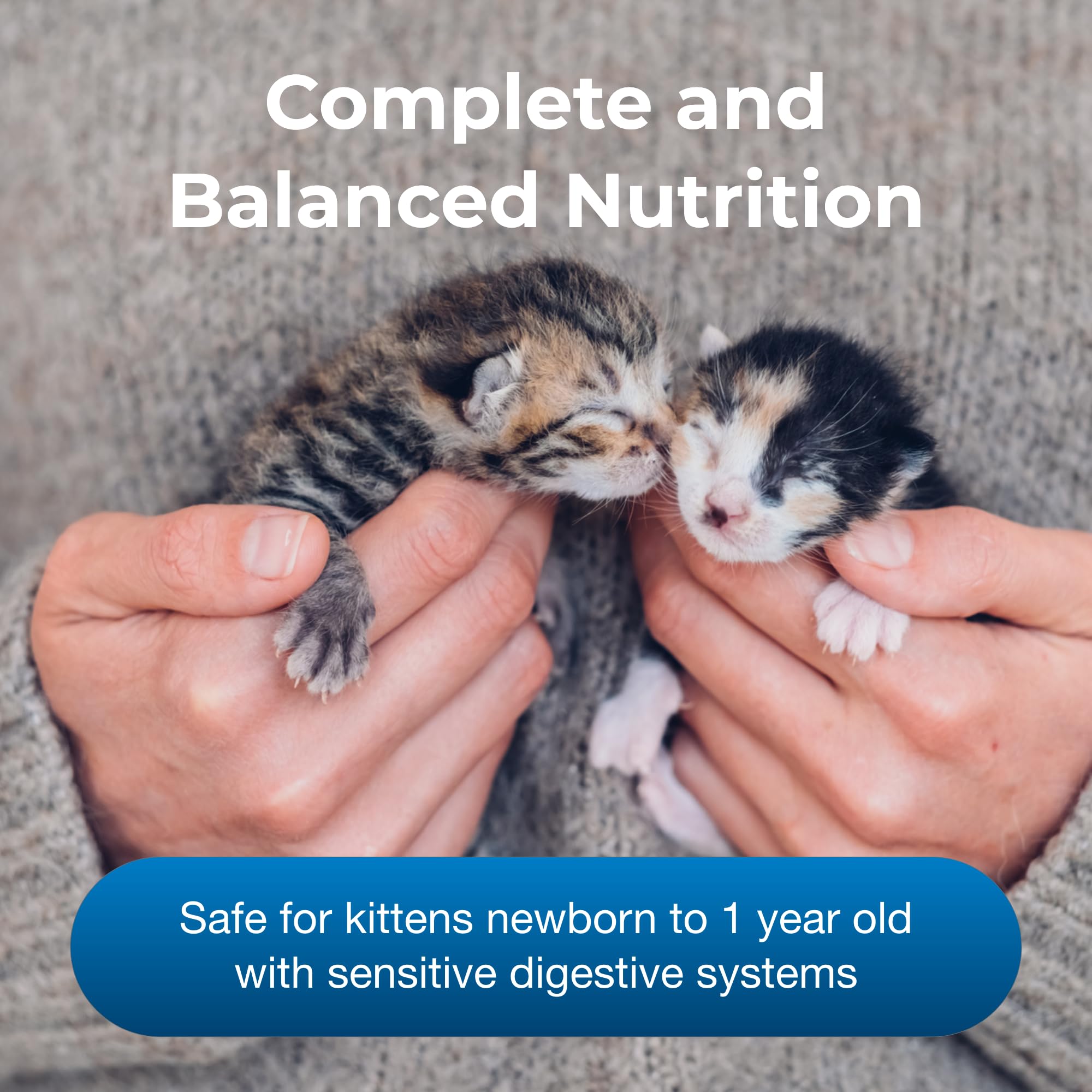 PetAg Envase de leche para gatito, preparación rápida y limpia.