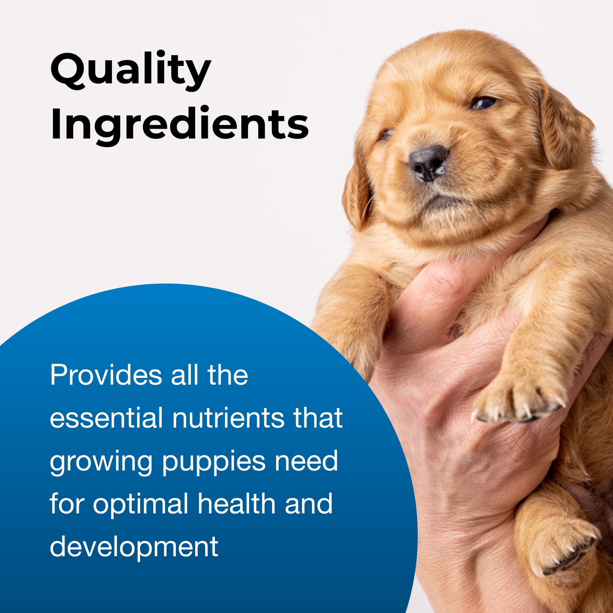 Envase de PetAg Esbilac de alta calidad, fórmula confiable para cachorros.