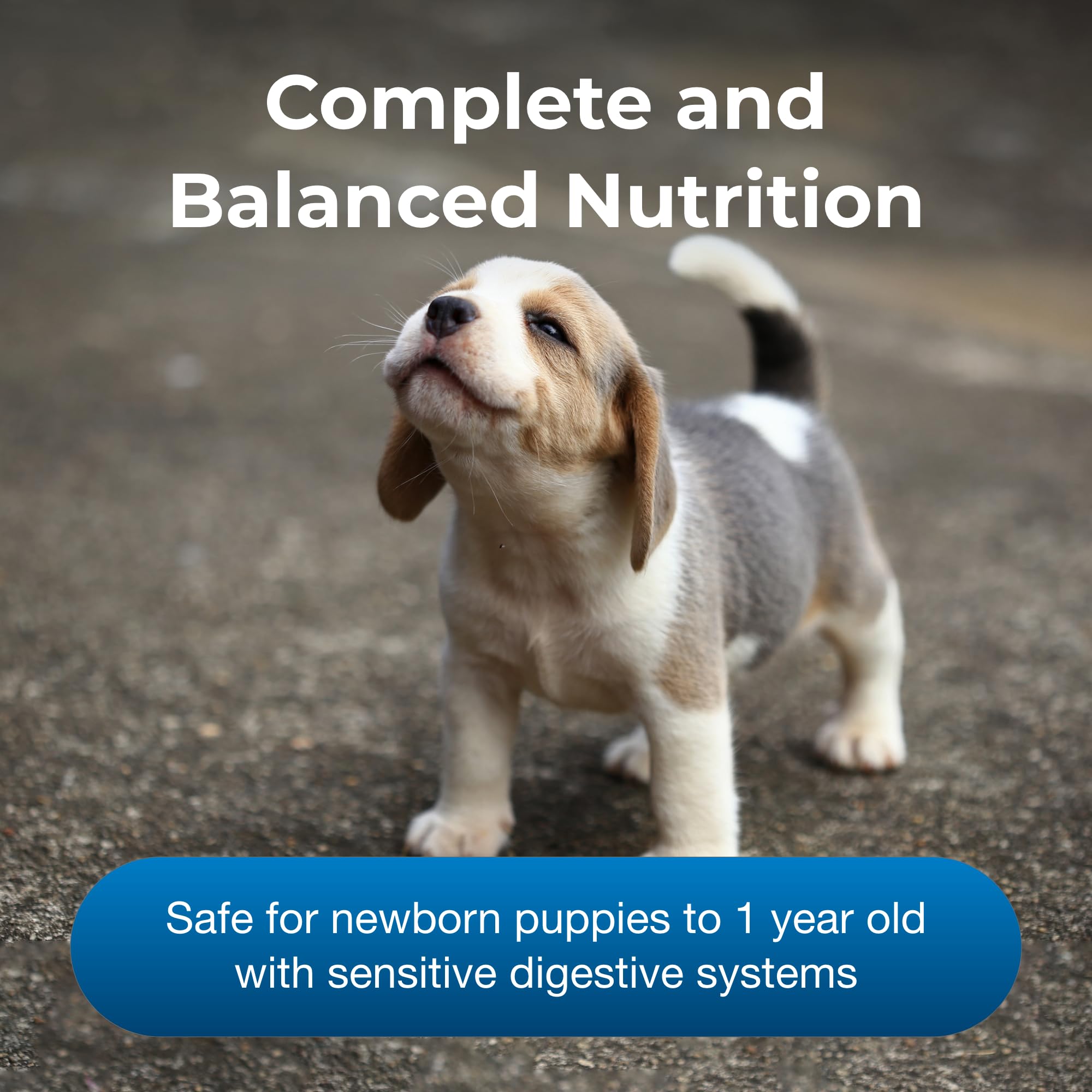 PetAg Esbilac Polvo, nutrición prebiótica para cachorros en crecimiento.