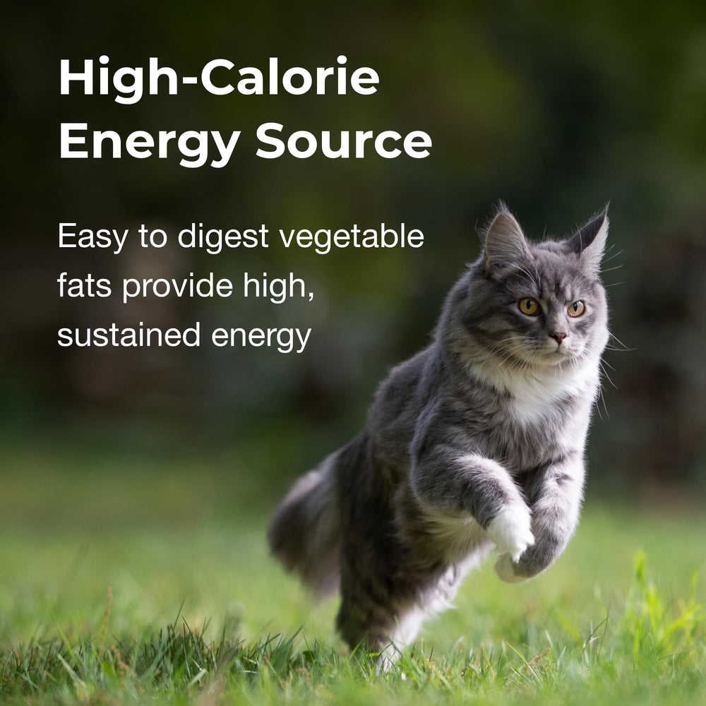 Gel calórico para gatos PetAg, sabor pollo, forma fácil de administrar