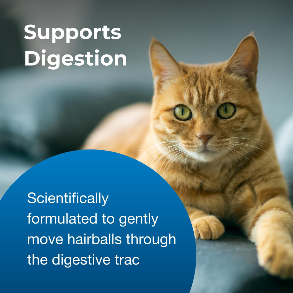 PetAg Hairball Natural Solution Gel, gato aceptando la toma del gel.