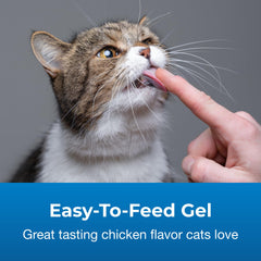 PetAg Gel de solución para bolas de pelo, uso fácil para gatos mayores de 6 meses.