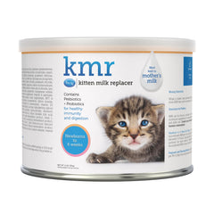 PetAg KMR polvo reemplazo leche gatitos, nutrición cercana a la leche materna.