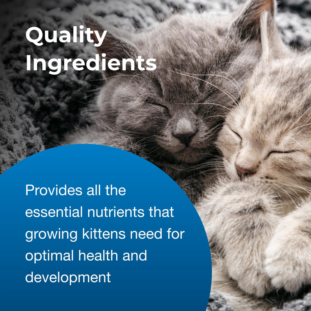 PetAg, marca confiable para el cuidado de gatitos.