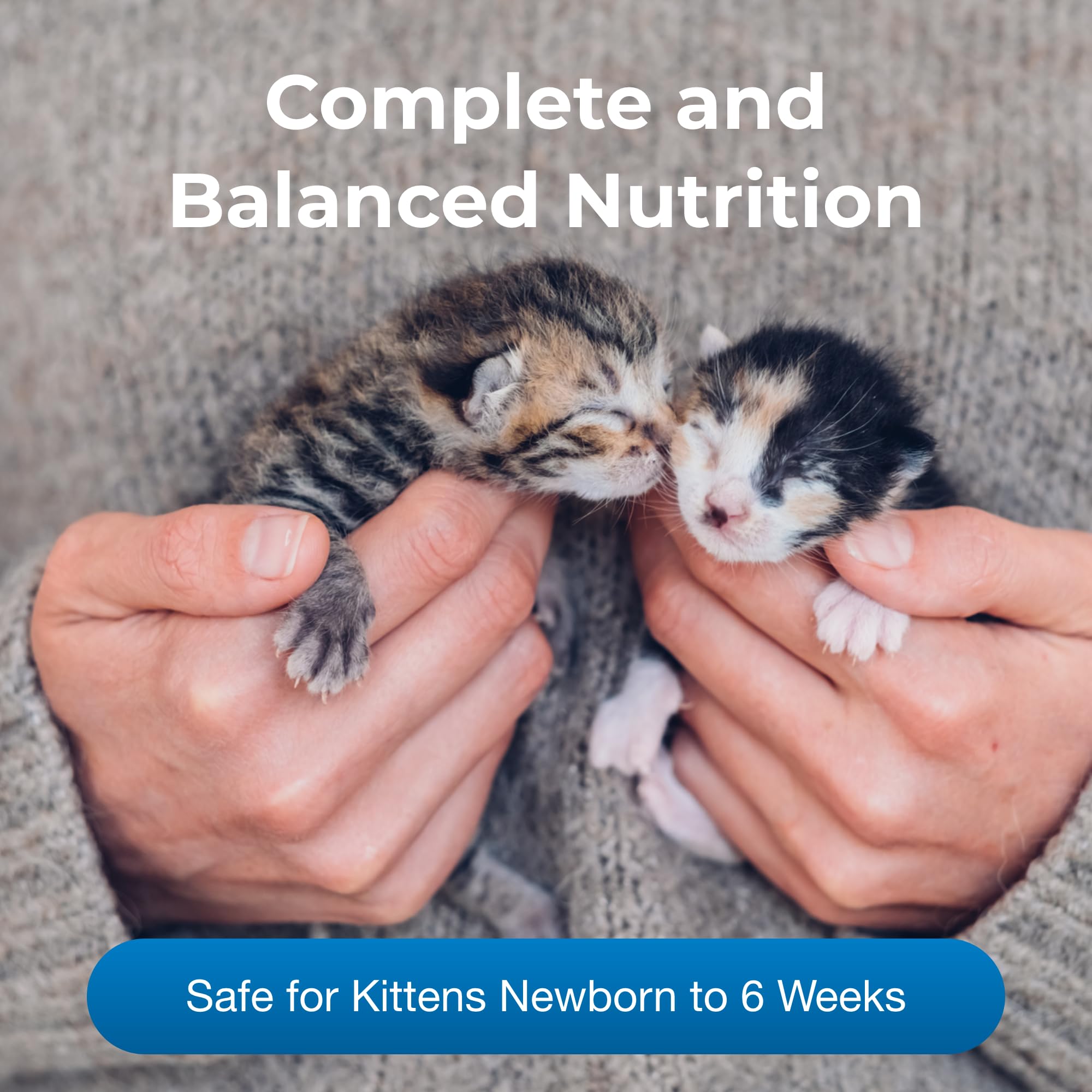 Gatito bebe leche PetLac en biberón, apoyo diario de nutrición