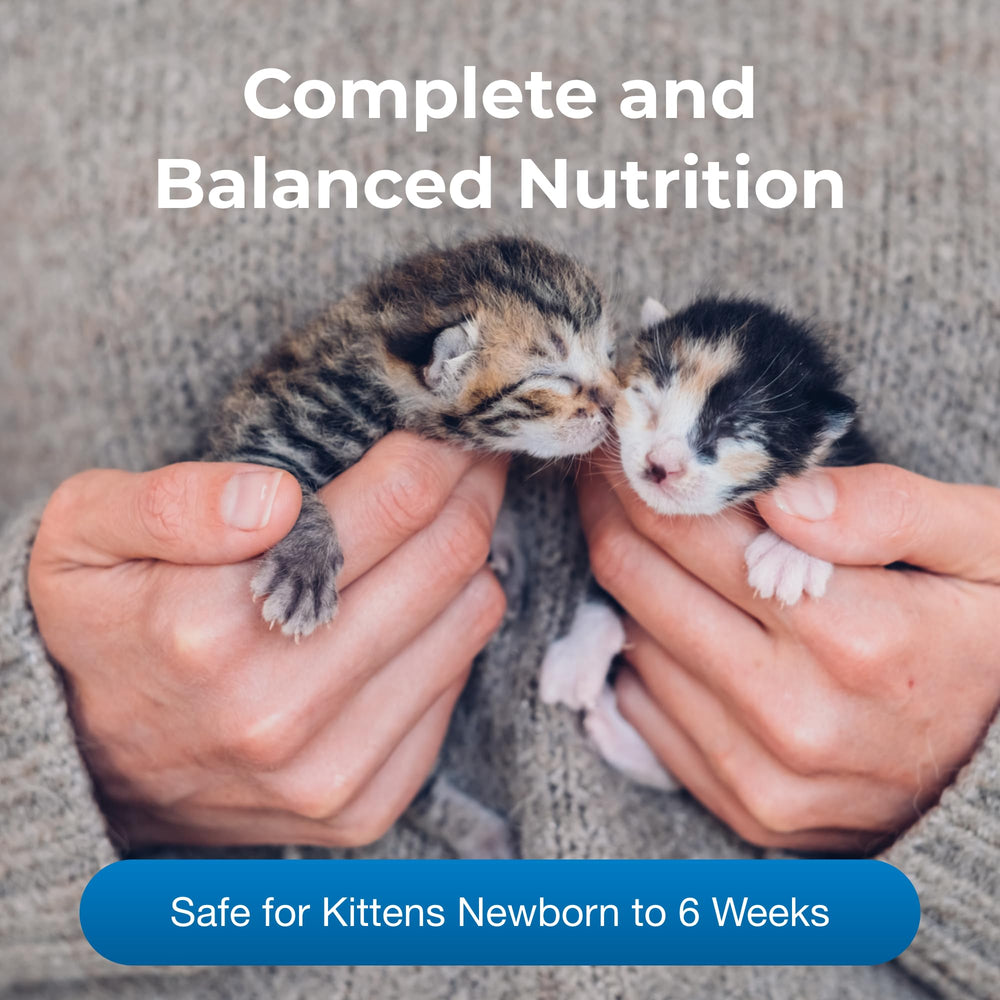 Gatito bebe leche PetLac en biberón, apoyo diario de nutrición