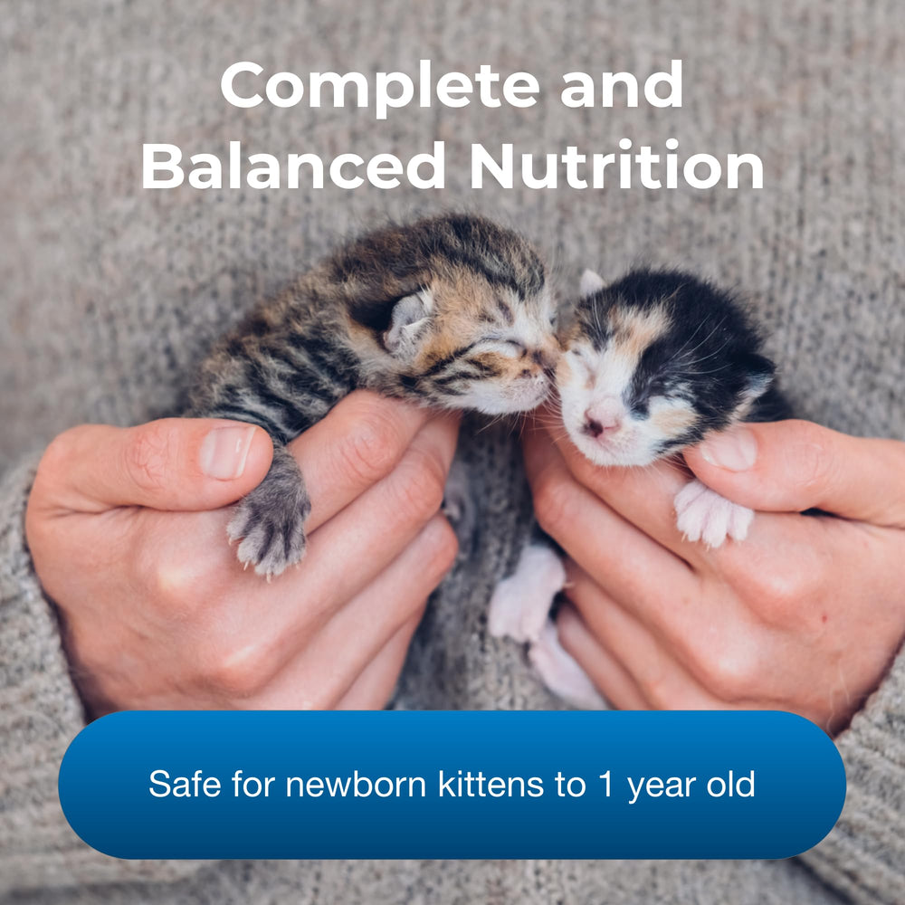 Preparación de leche PetLac para gatitos, preparación fácil para una alimentación suave.