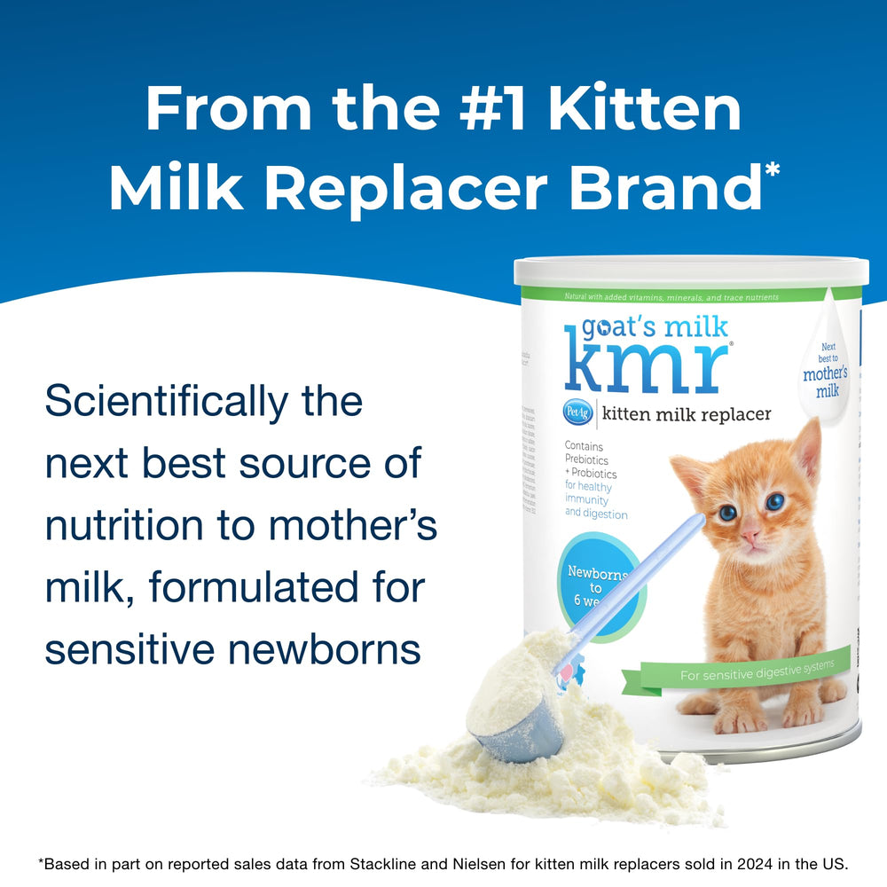 PetAg Prebióticos y Probióticos KMR, polvo para gatitos, favorece digestión y salud inmunitaria