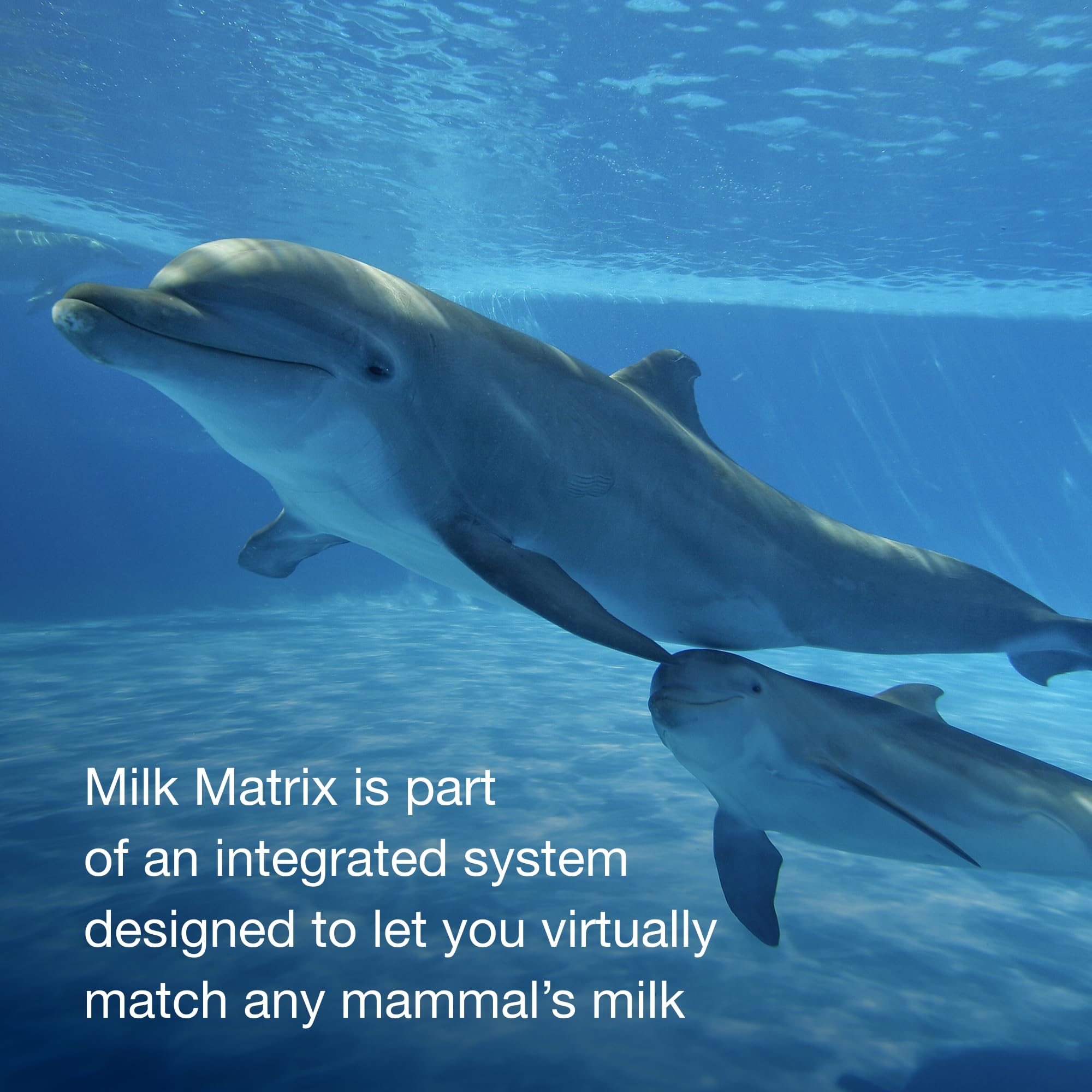 PetAg Zoologic Milk Matrix 33/40 disolución-agua, disuelve fácilmente para una preparación rápida.