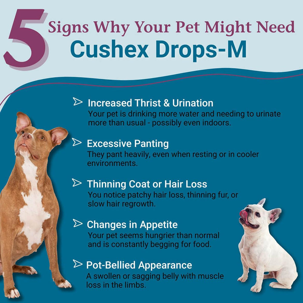 PetAlive Cushex Drops-M: gotero para administración fácil en perros y gatos.