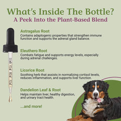Contenido líquido herbal que apoya el bienestar general de la mascota