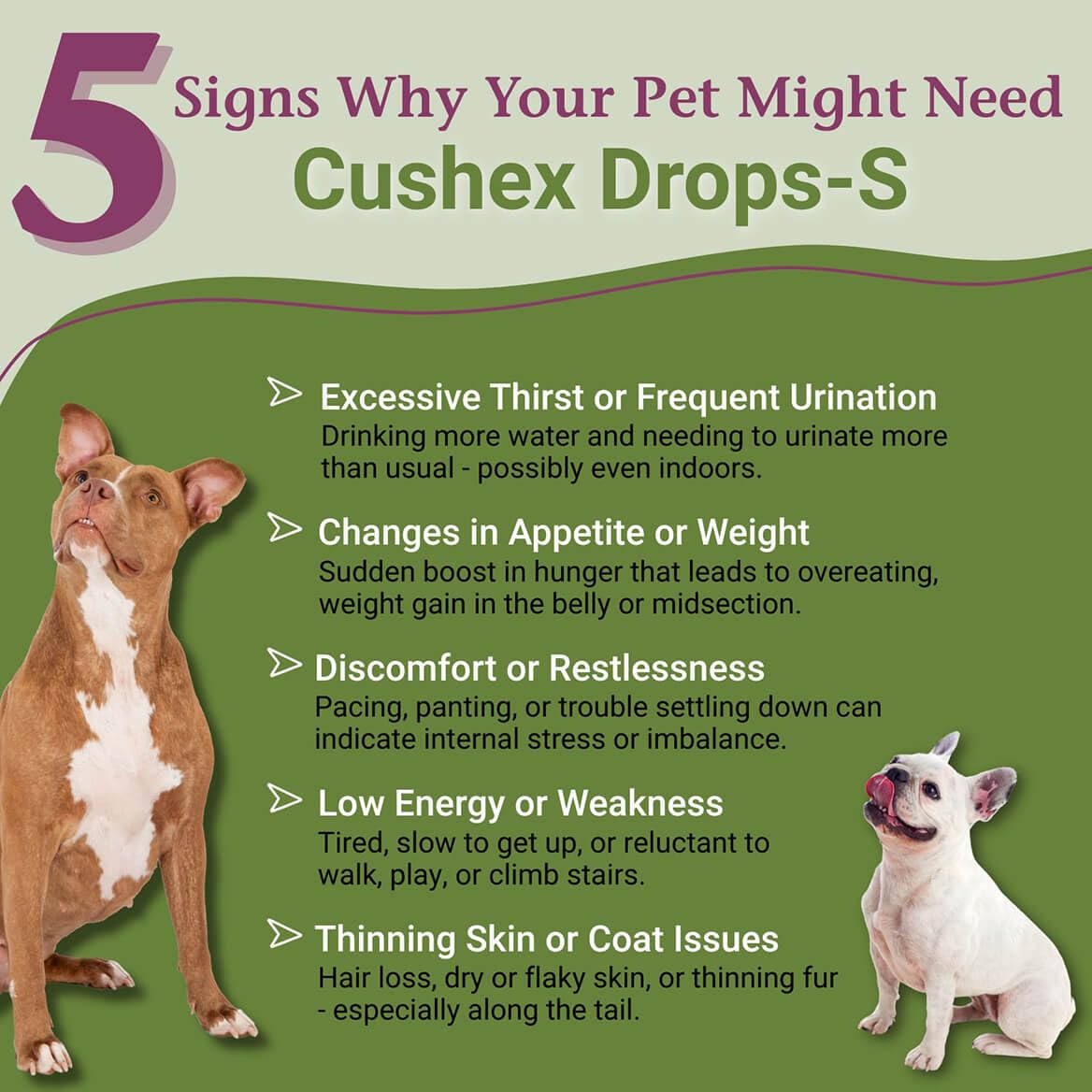 Etiqueta frontal de PetAlive Cushex Drops-S con indicaciones de uso