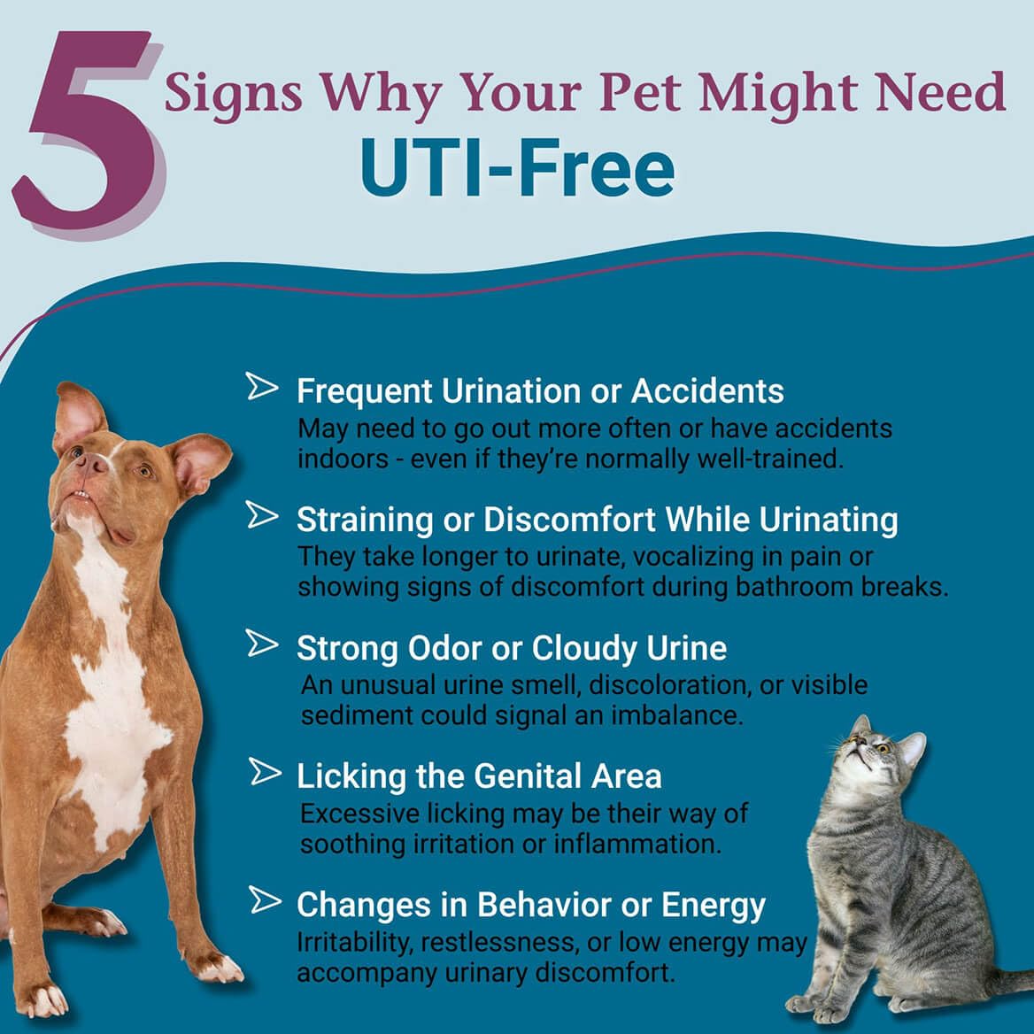 Granulos sin sabor de PetAlive UTI, fáciles de disolver.