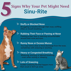 PetAlive Sinu-Rite botella de tabletas-nasales para uso suave en mascotas