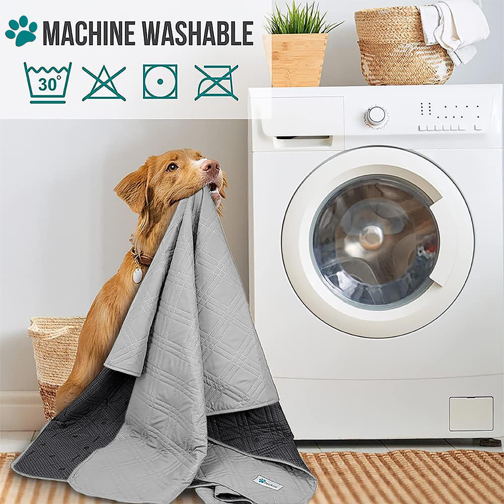 PetAmi lavable a máquina facilita la limpieza tras juegos.