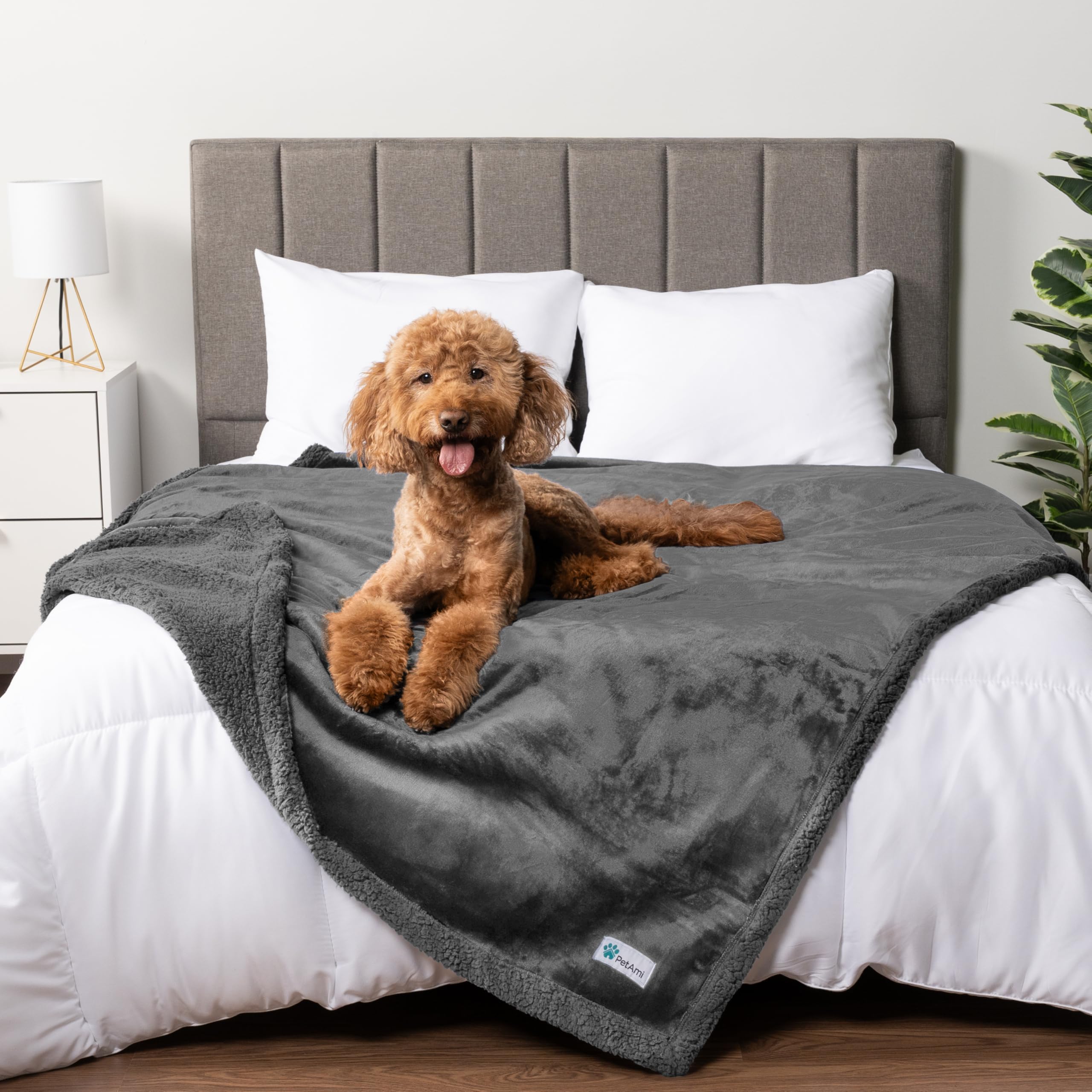 PetAmi manta impermeable para perro sobre sofá, protege muebles
