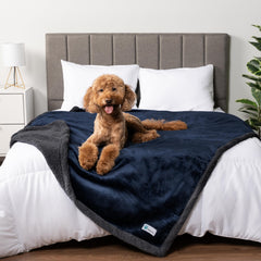 PetAmi manta impermeable para perros protege muebles y evita derrames en el salón