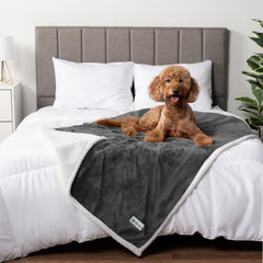 Protección para muebles y pelo con manta PetAmi para perros y gatos.