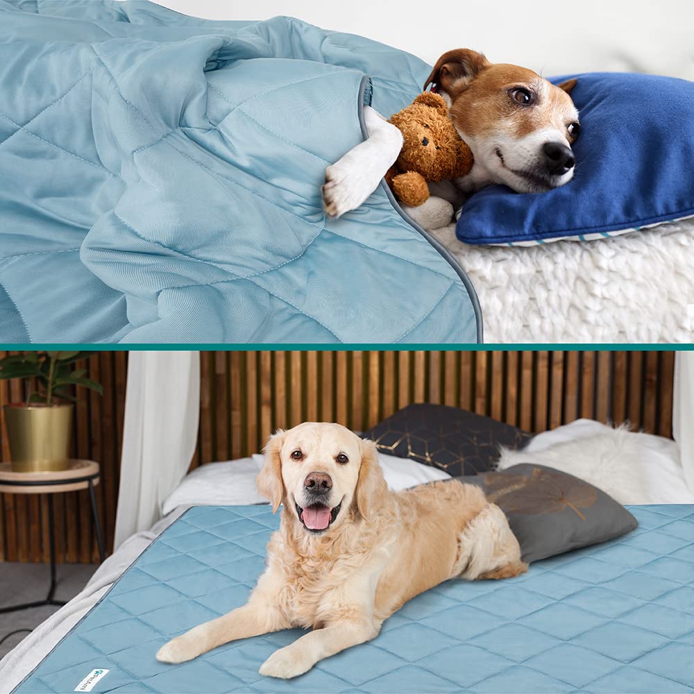 PetAmi manta suave y acogedora para gatos, adecuada para siestas familiares