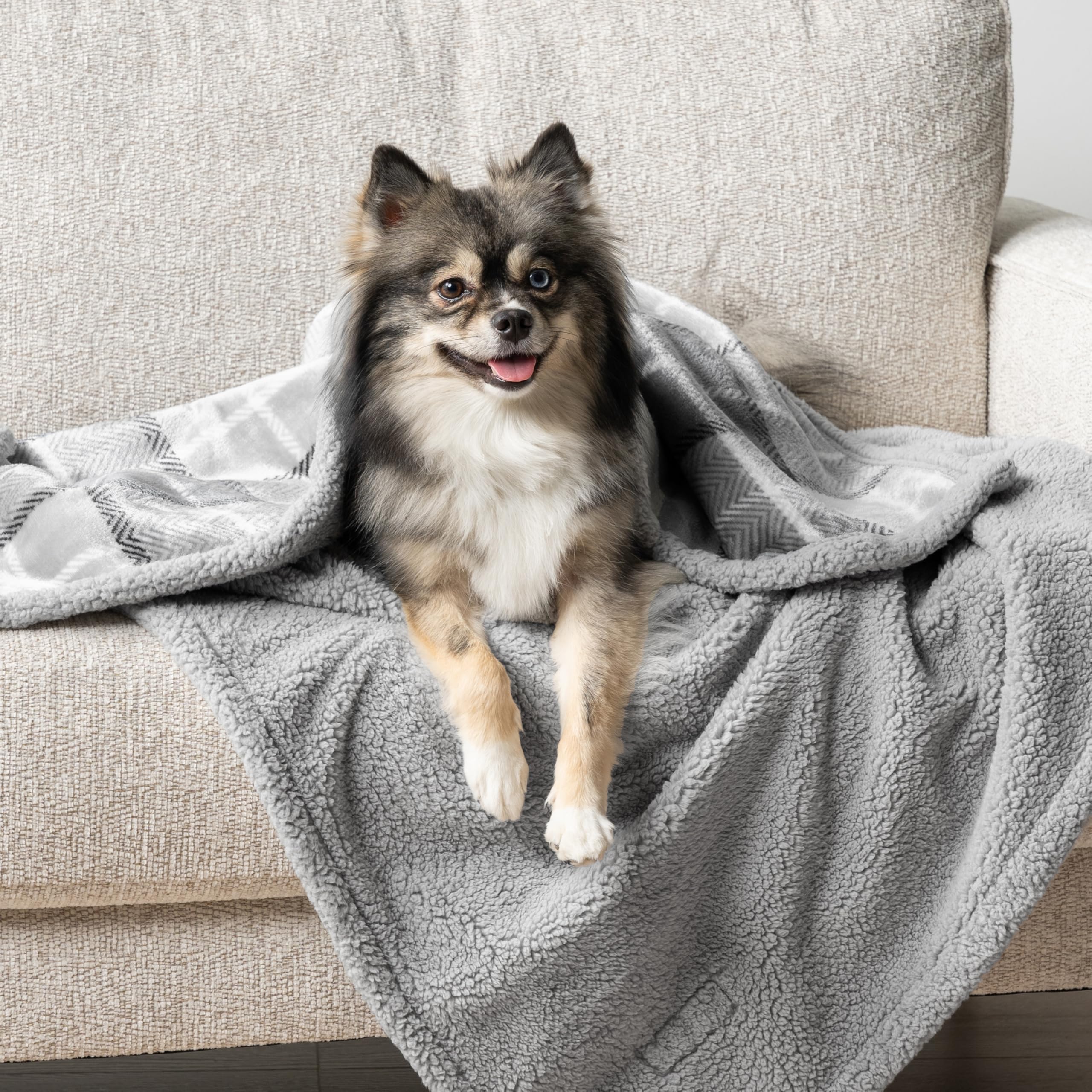 PetAmi manta para uso en coche mantiene los asientos limpios durante viajes.