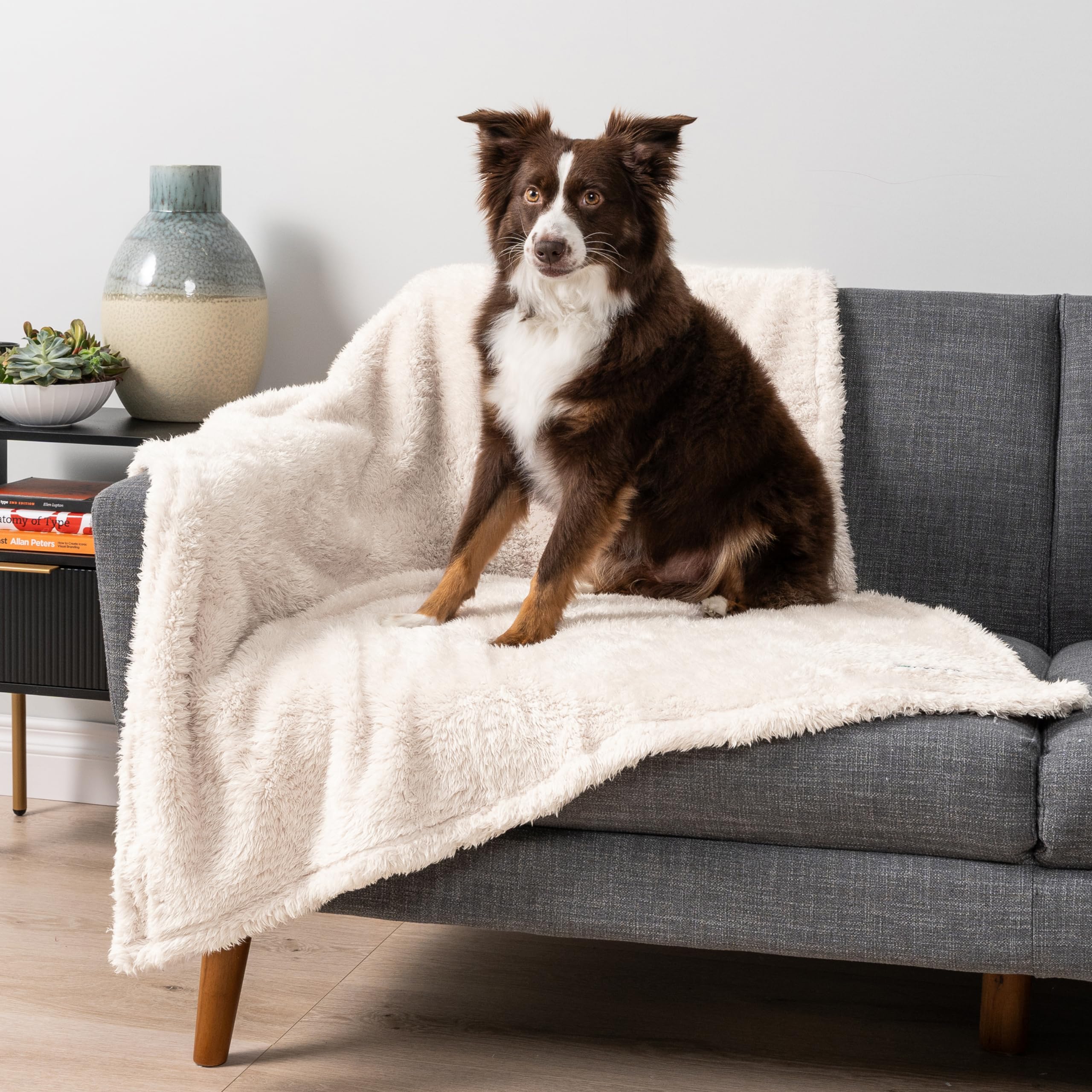 PetAmi manta sofa beige: uso diario y protección.