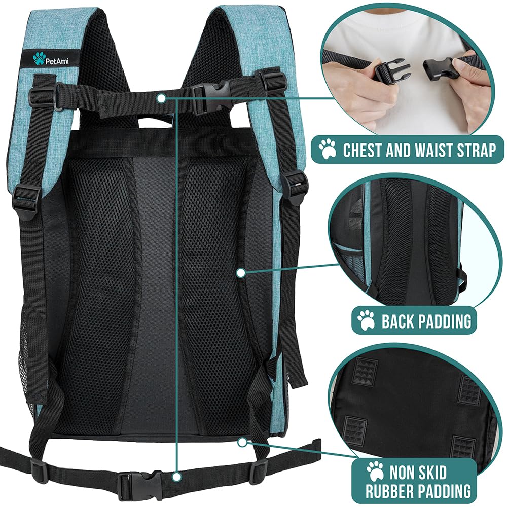 PetAmi Mochila Portaperro espalda acolchada para mayor comodidad.