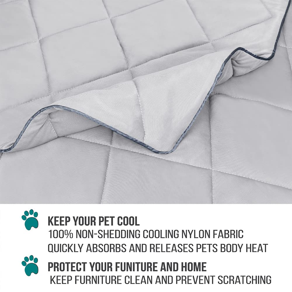 PetAmi Proteccion Muebles Gato: mantiene sofá limpio
