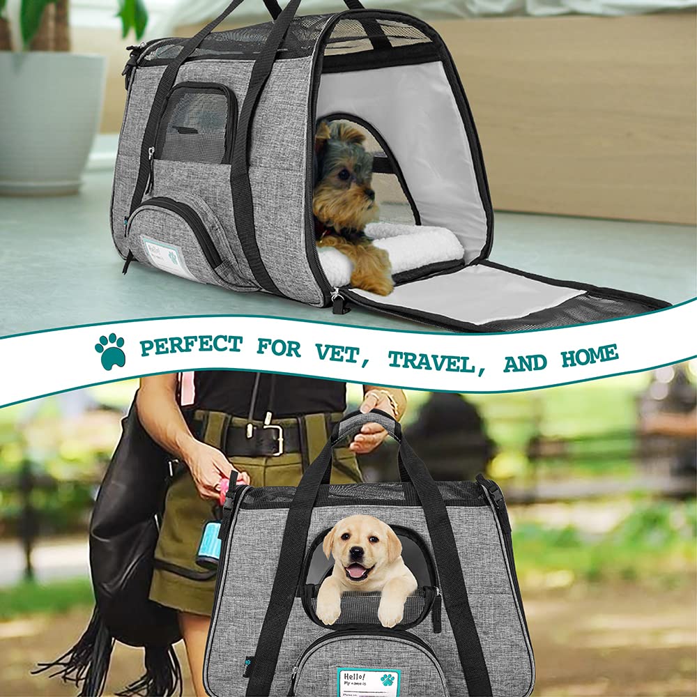 PetAmi Carrier incluye cuenco de silicona plegable para hidratar en ruta.