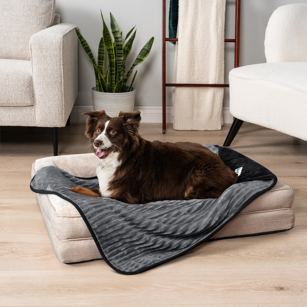 PetAmi uso interior y exterior, ideal para viajes con mascotas