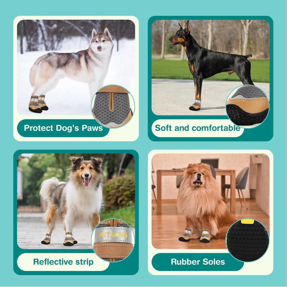 Diseño moderno Petanims en colores de moda para tu perro